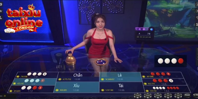 Hướng dẫn tham gia chơi