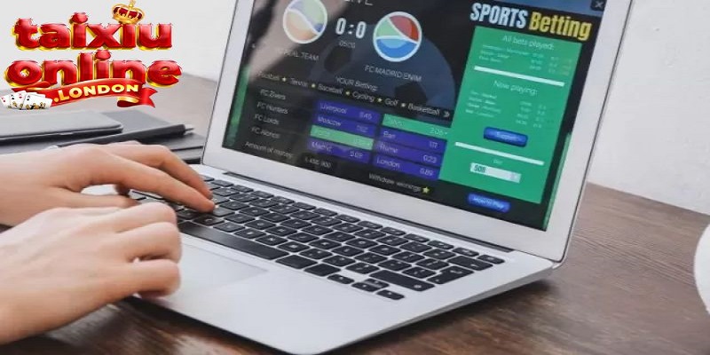 Kinh nghiệm chơi cá cược chuẩn dành cho người mới